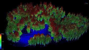 3dscan1-11